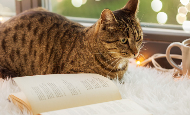 某分公司經(jīng)理崗位職責(zé)（十二篇）