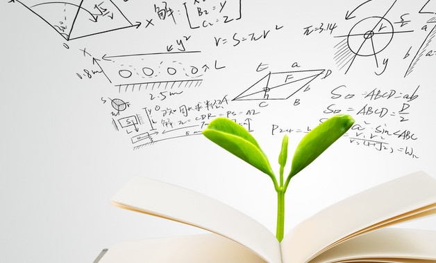 公司財(cái)務(wù)管理制度所屬企業(yè)財(cái)務(wù)人員調(diào)配管理規(guī)定（十二篇）