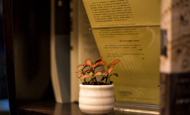 中班教育教學心得體會怎么寫(精選8篇) 中班教育教學心得體會怎么寫(精選8篇)