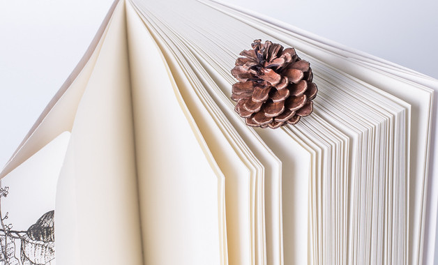 物業(yè)公司出納崗位職責5(12篇范文)