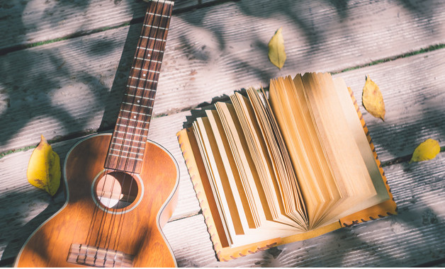 數的認識評課稿模板（13篇范文）