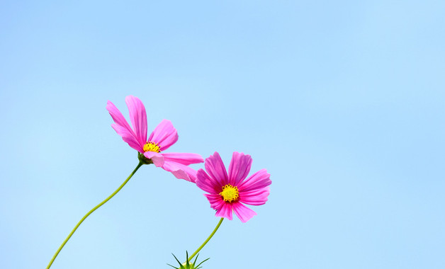 出納員/銀行專員崗位職責以及職位要求（十二篇）